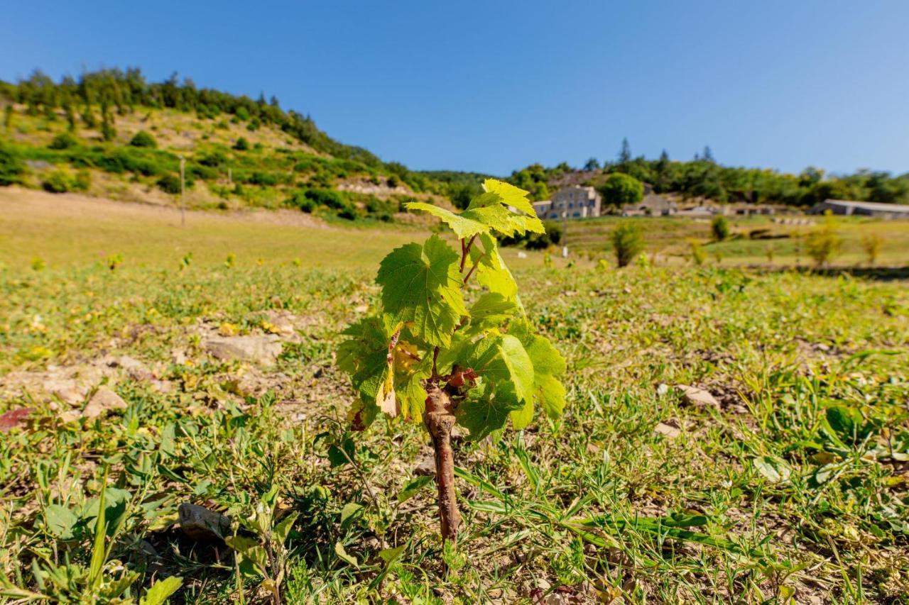Domaine De Merlac Rieussec Exterior foto